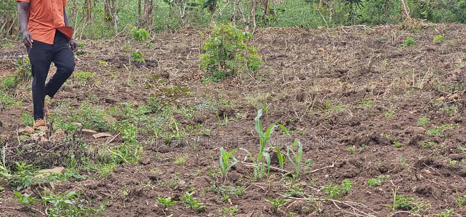 Residential Titled Plot for Quick Sale-Wakiso Gobero in Kakiri