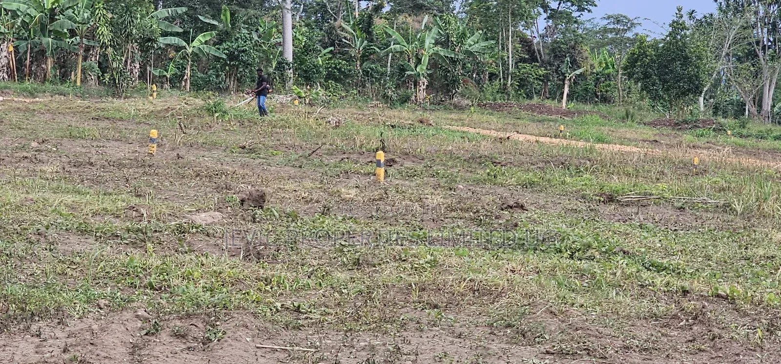 20 Titled 50×100 Plots on Big Sale -Namayumba in Namayumba