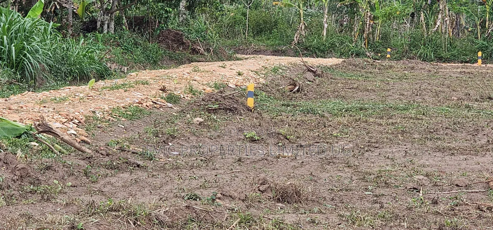 20 Titled 50×100 Plots on Big Sale -Namayumba in Namayumba