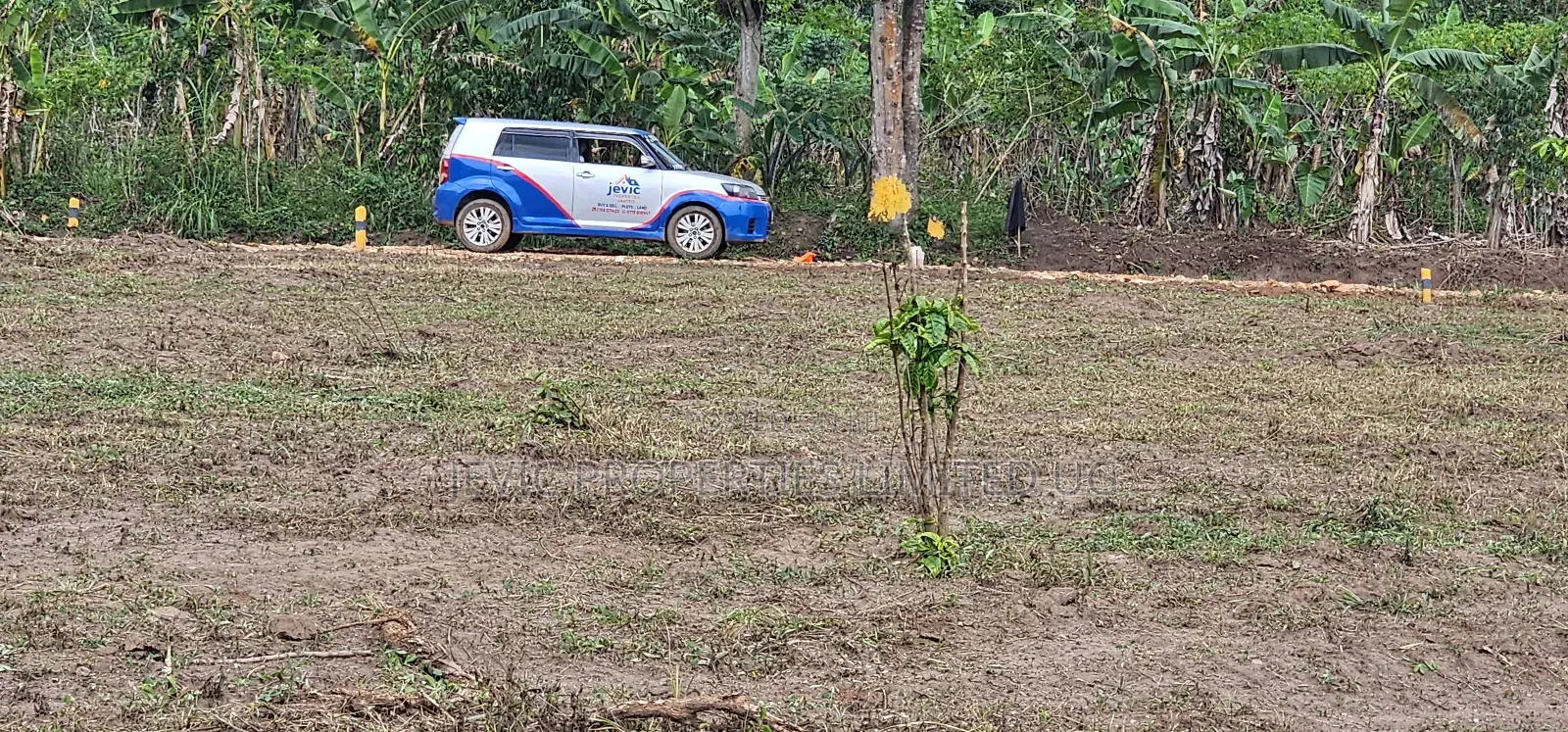 20 Titled 50×100 Plots on Big Sale -Namayumba in Namayumba