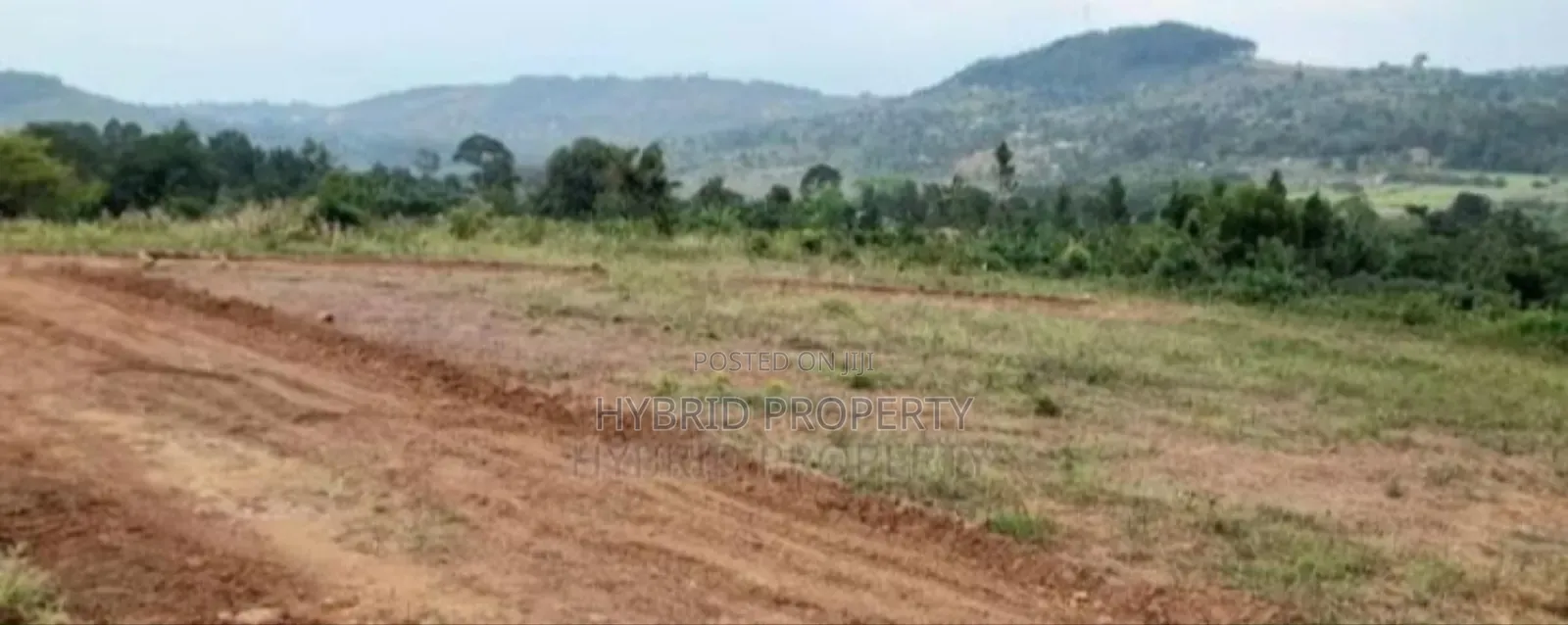 Prime Plots For Sale At Katende~Bumme Hill View Land Estate. in Kiringente