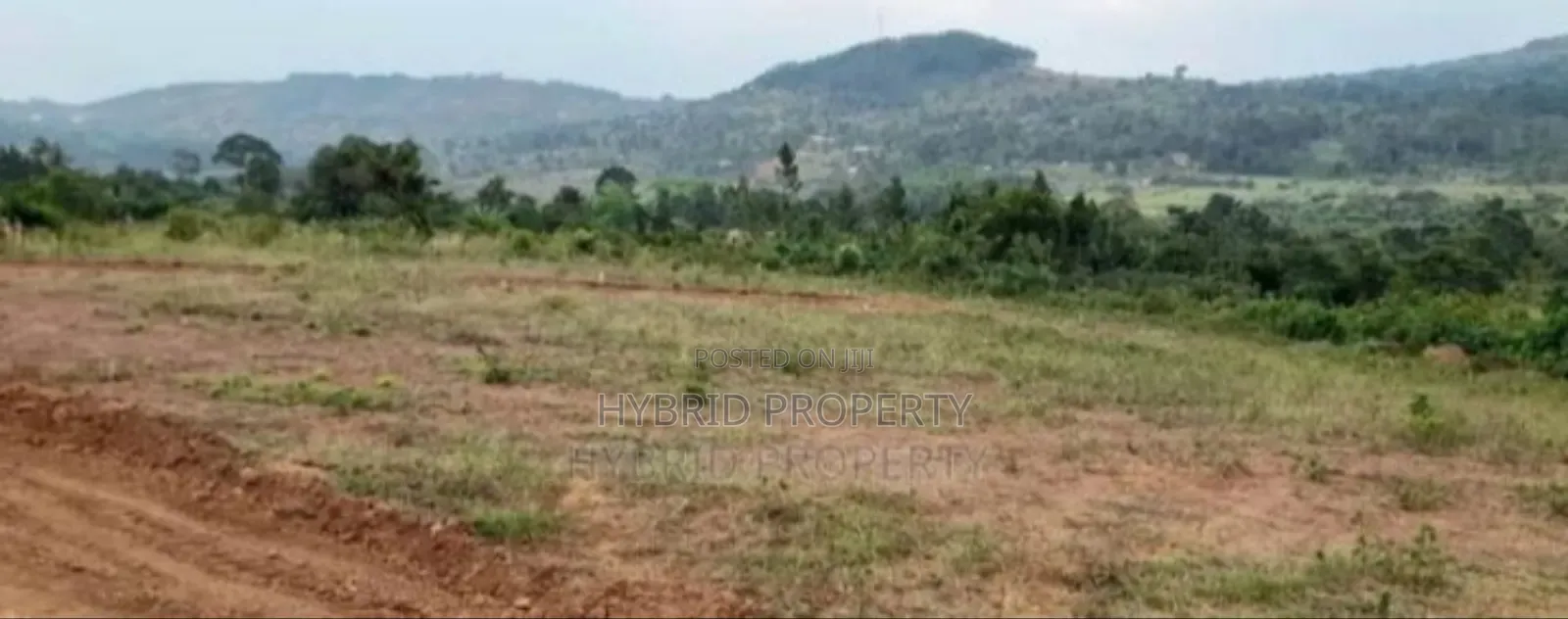 Prime Plots For Sale At Katende~Bumme Hill View Land Estate. in Kiringente