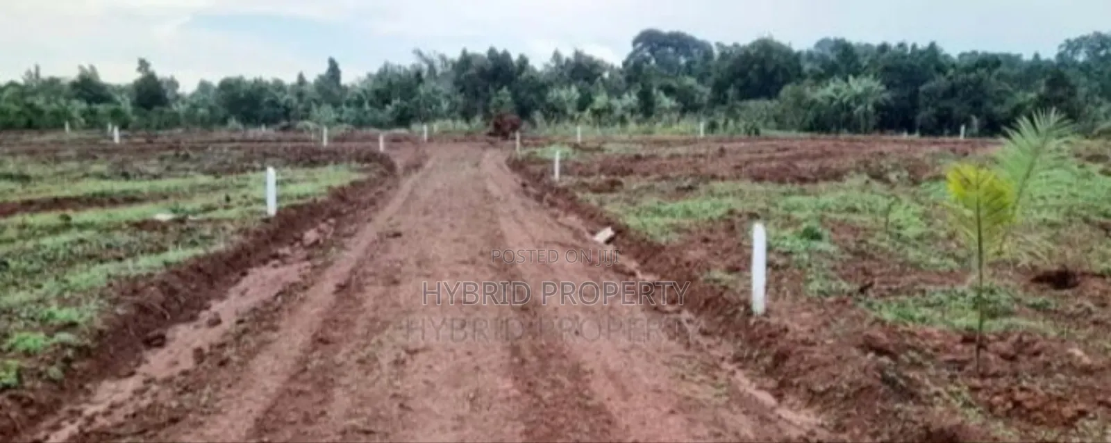 Prime Plots For Sale At Mpigi~Bubuule Land Estate~Masaka Rd. in Kamengo