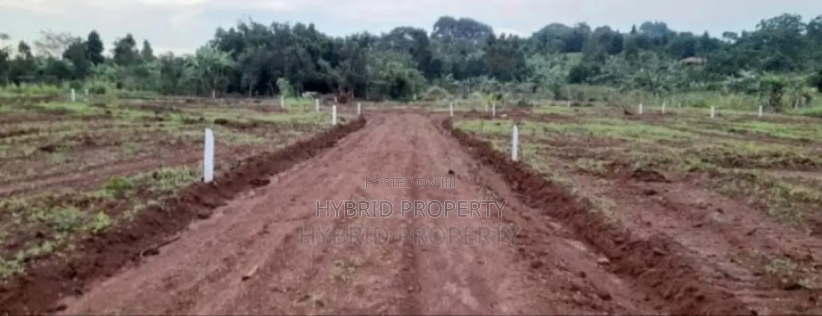 Prime Plots For Sale At Mpigi~Bubuule Land Estate~Masaka Rd. in Kamengo