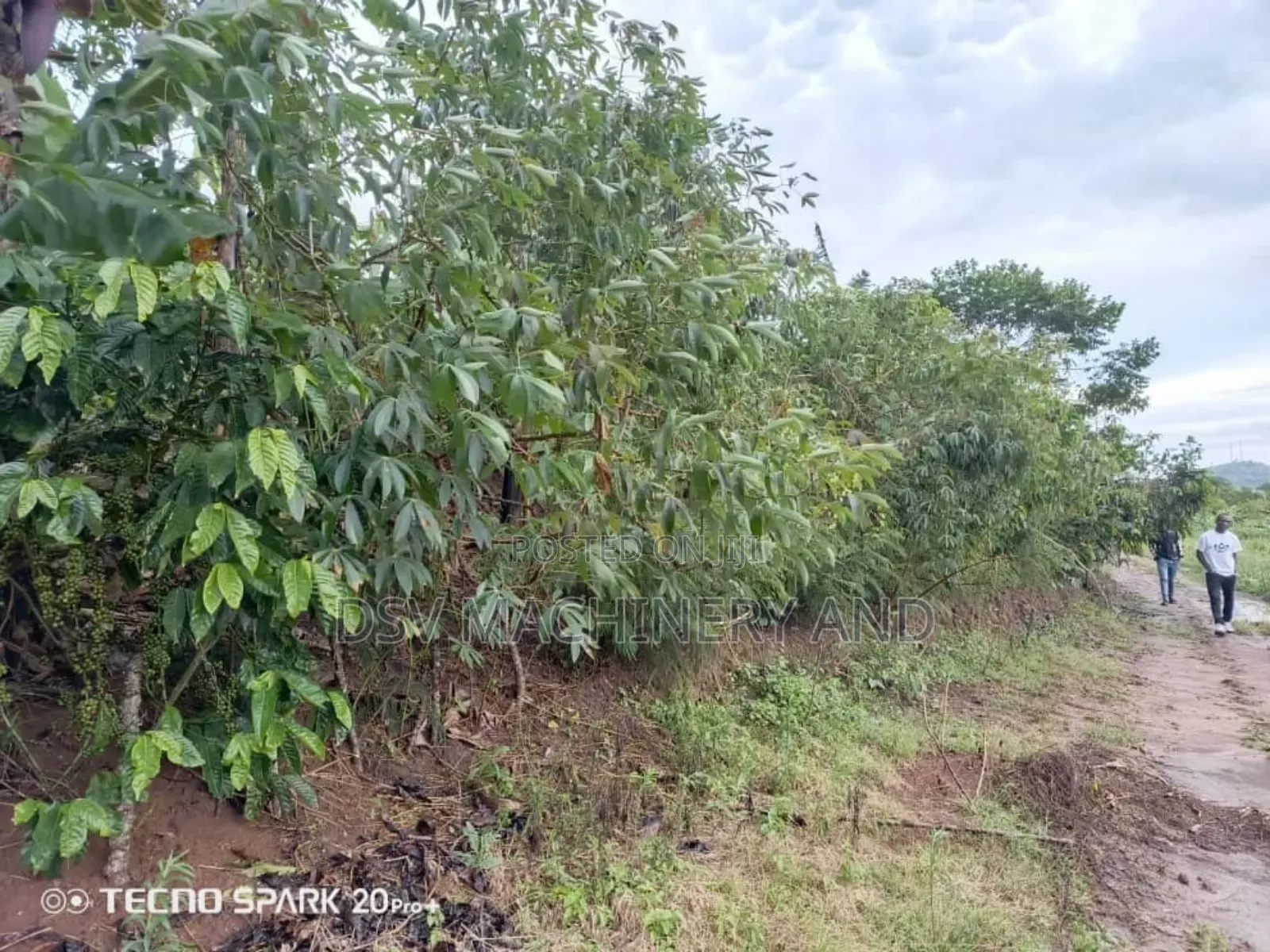 1 Acre/One Acre of Land for Sale at Jeza 100 Decimals in Rubaga