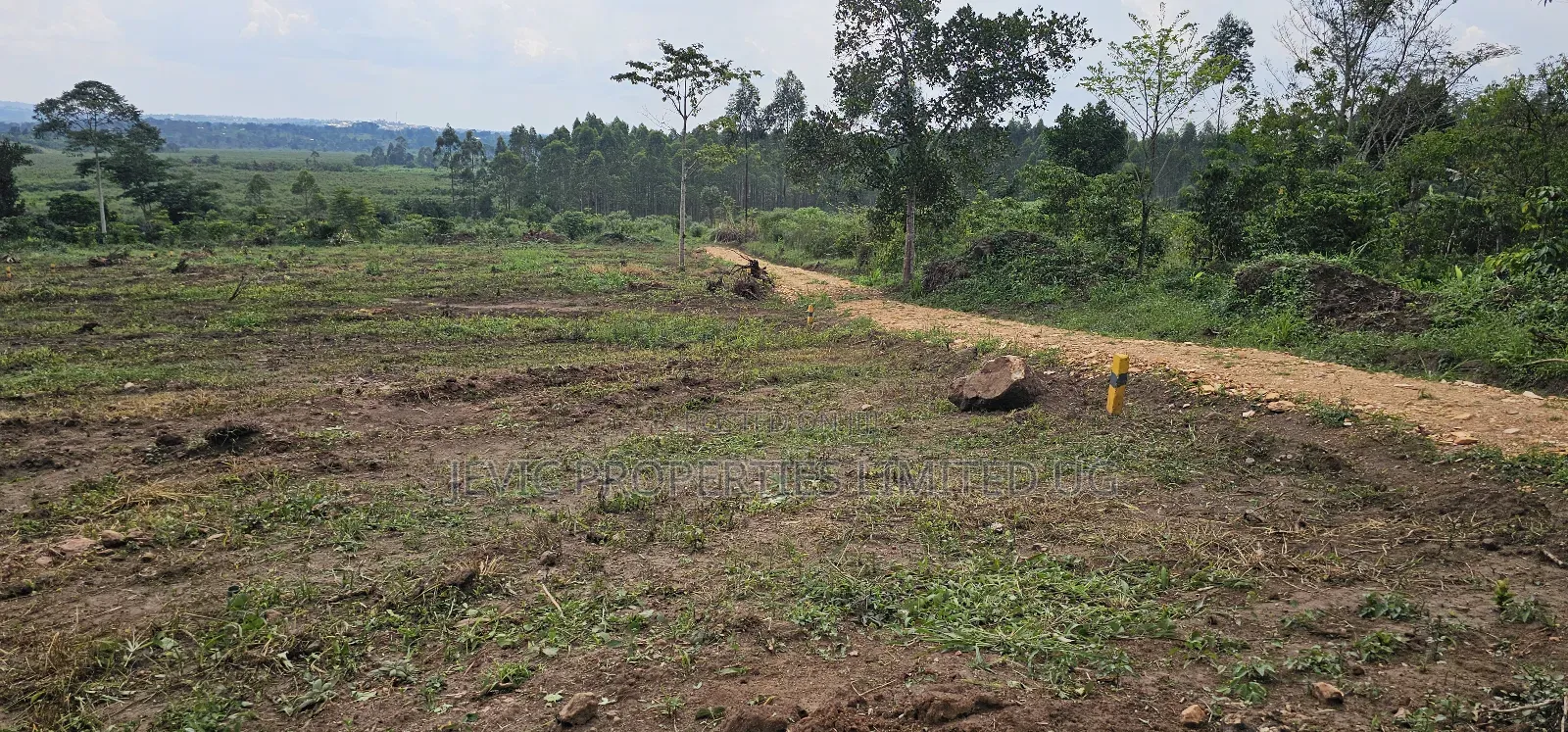 Hot PLPTS on Quick Sale - Namayumba in Namayumba