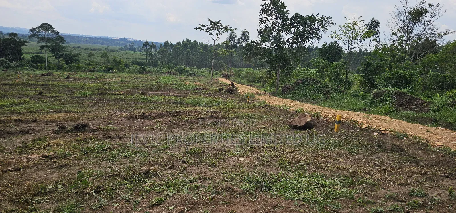 Hot PLPTS on Quick Sale - Namayumba in Namayumba