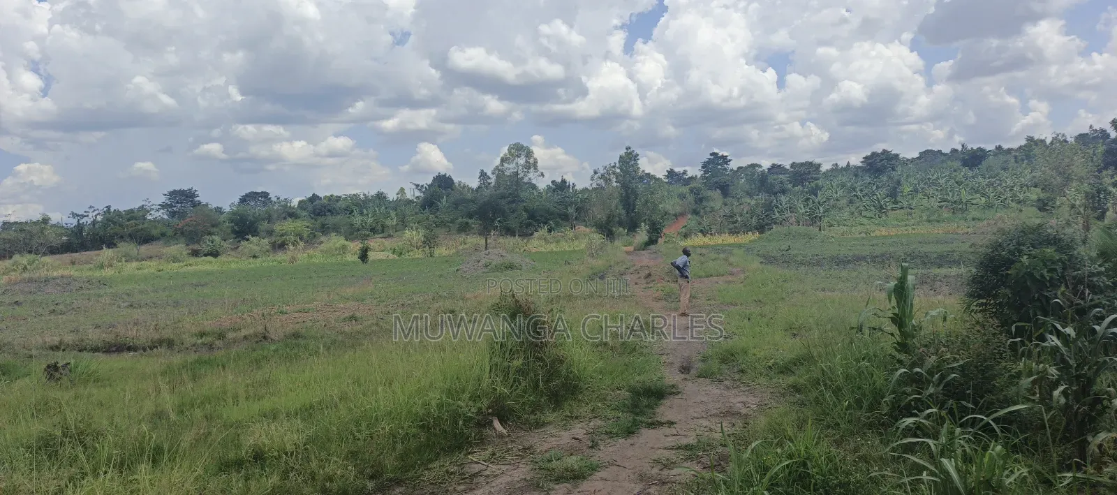 40acres on Sale in Busika in Luwero / Luwero