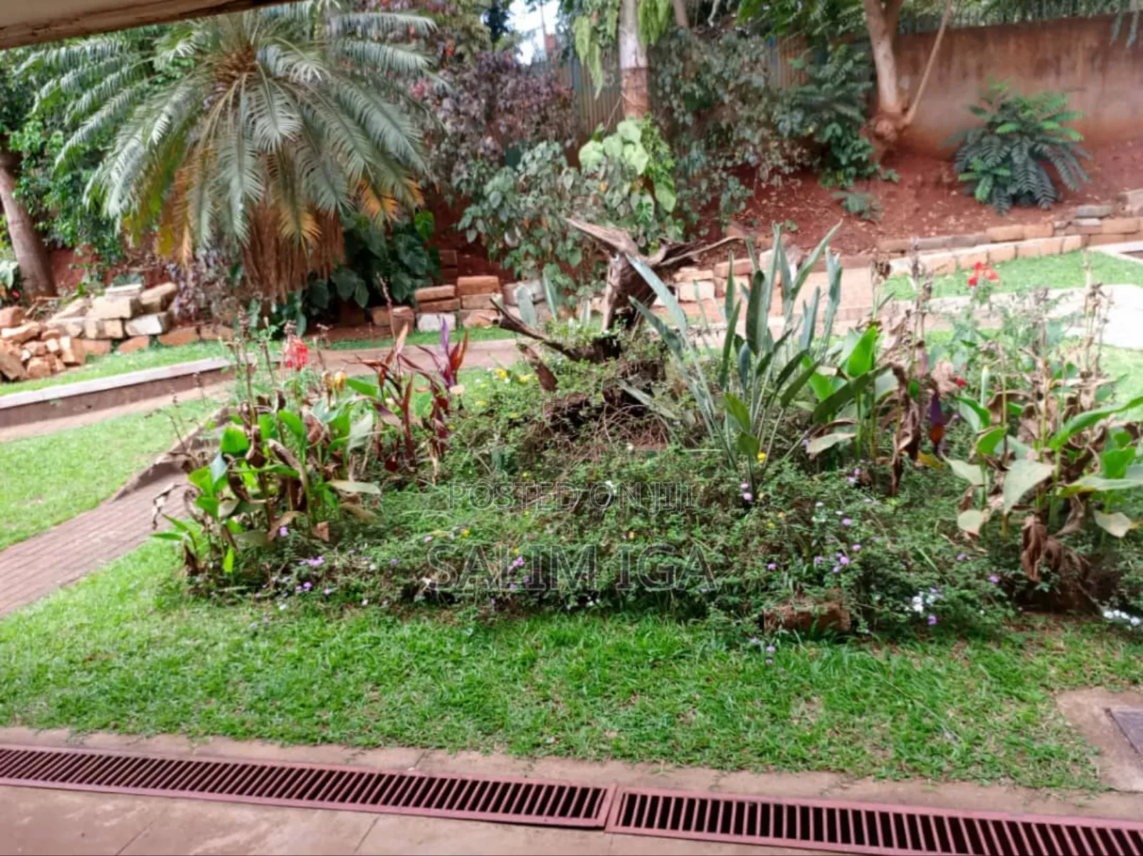 4bdrm Bungalow in Kololo Property, Central Division for rent in Central Division