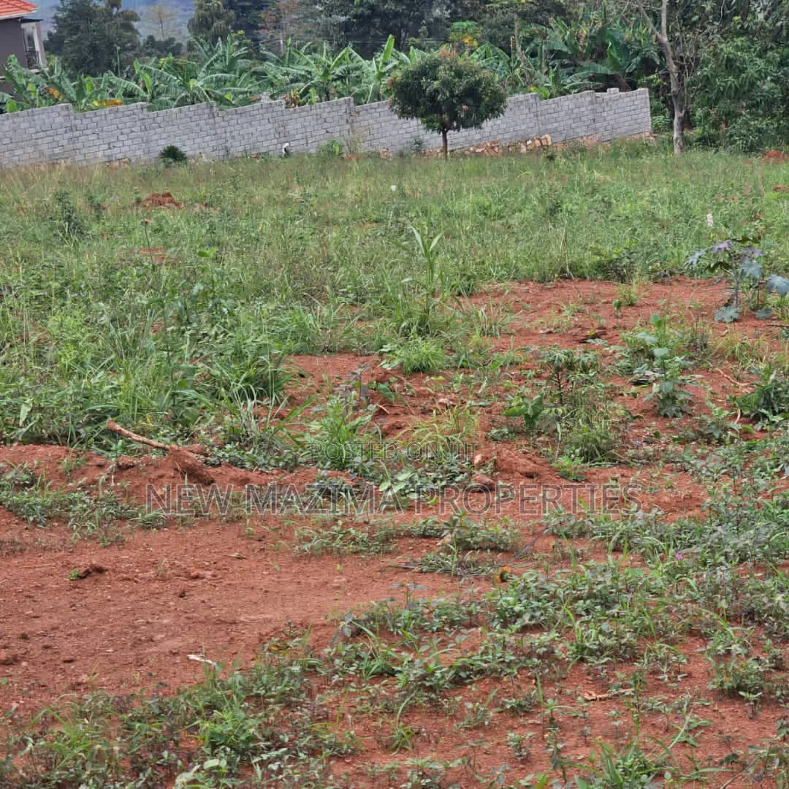 Commercial Plots on Forcedsale in Heart Kitende Ssisa Ntbe Rd in Central Division
