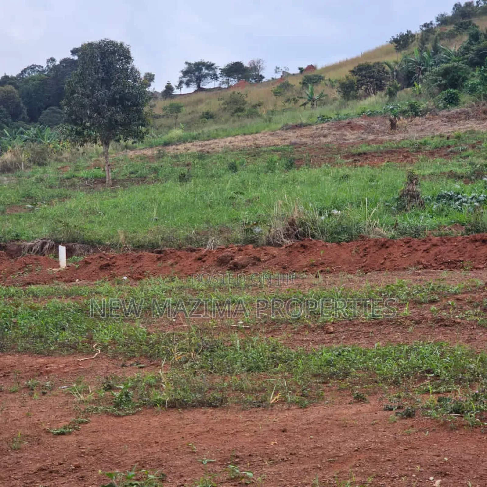 Commercial Plots on Forcedsale in Heart Kitende Ssisa Ntbe Rd in Central Division