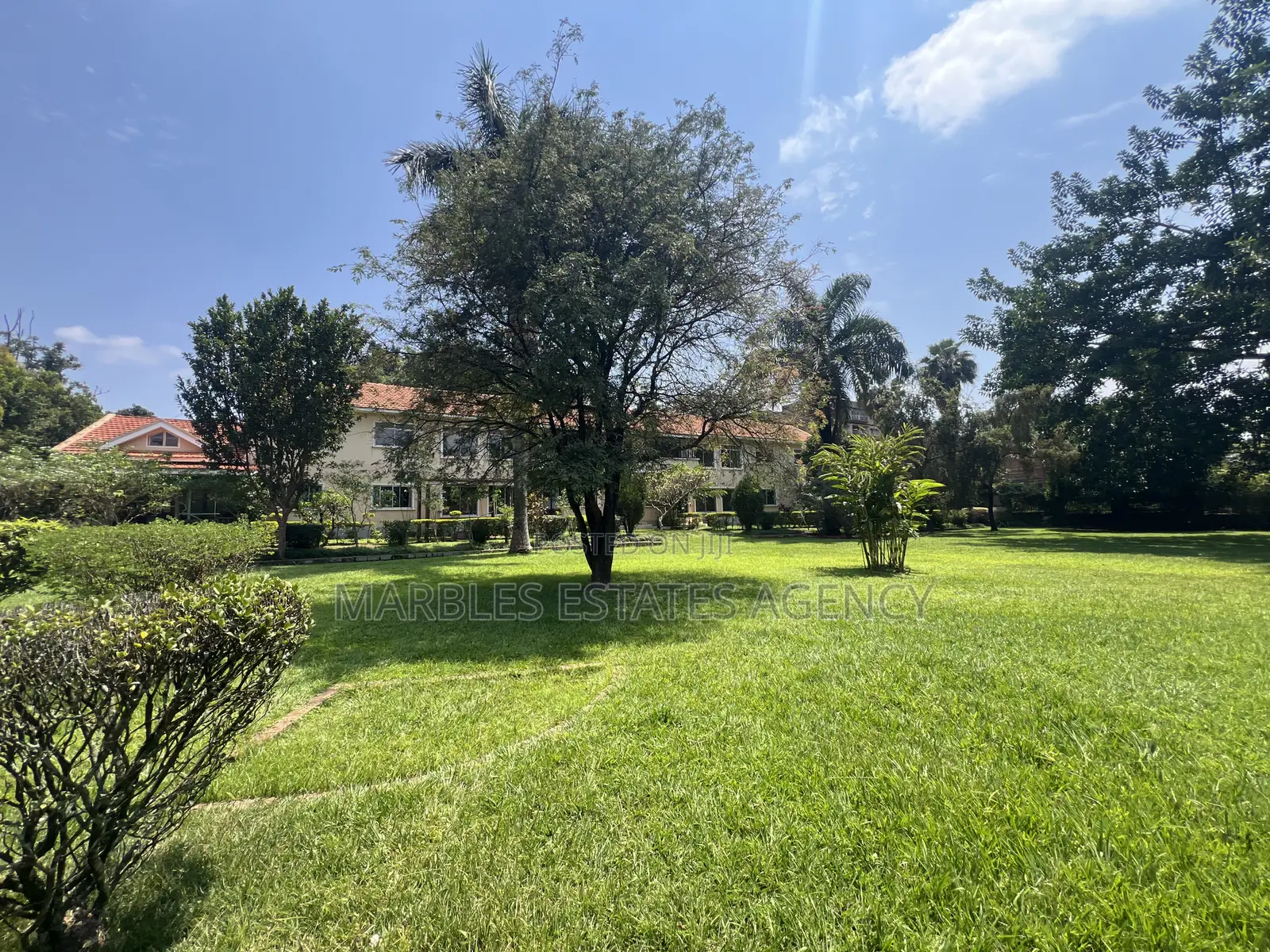 11bdrm House in Kololo, Central Division for rent in Central Division