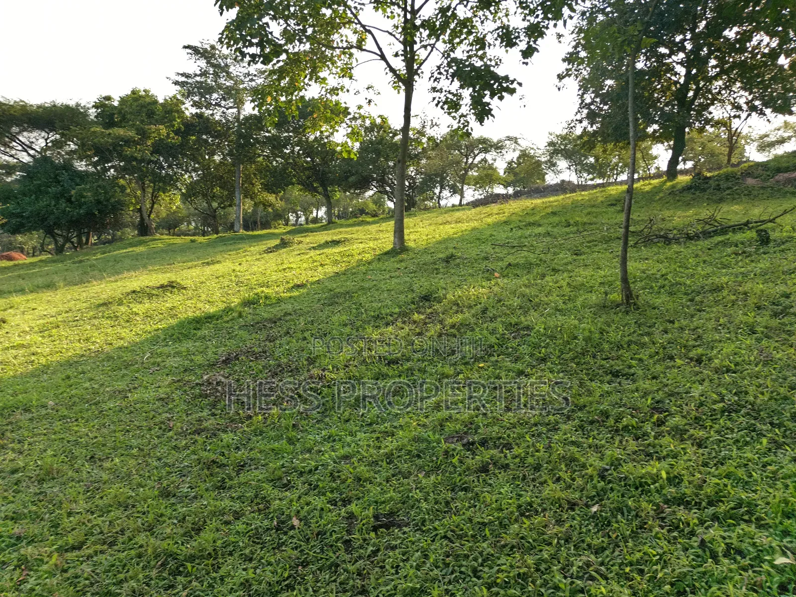 Farmland on Sale Located in Kyegegwa in Kyenjojo