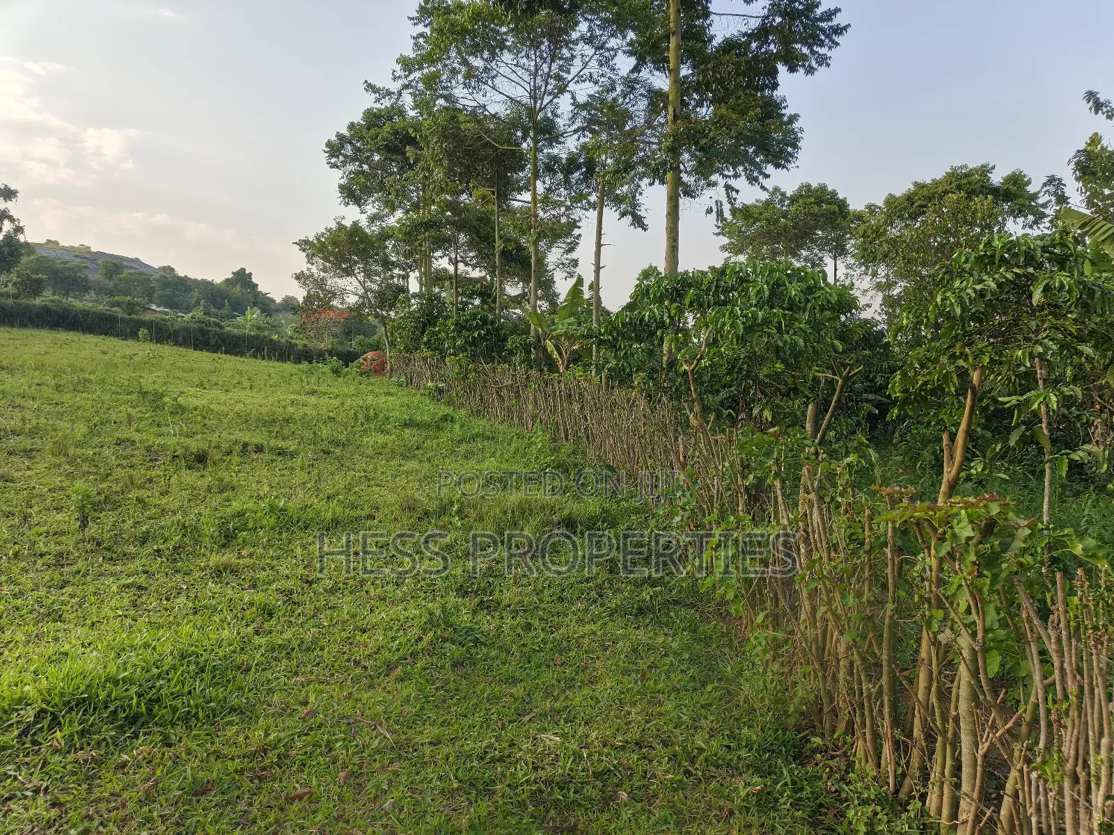 Farmland on Sale Located in Kyegegwa in Kyenjojo
