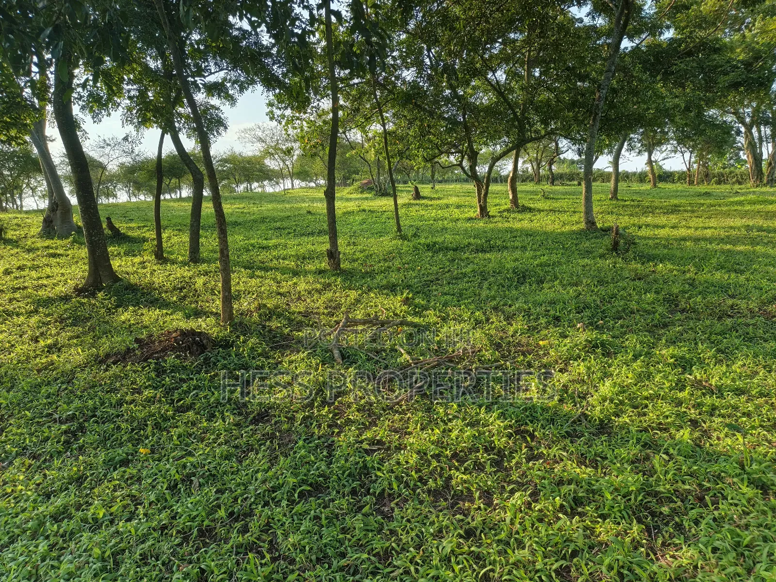 Farmland on Sale Located in Kyegegwa in Kyenjojo