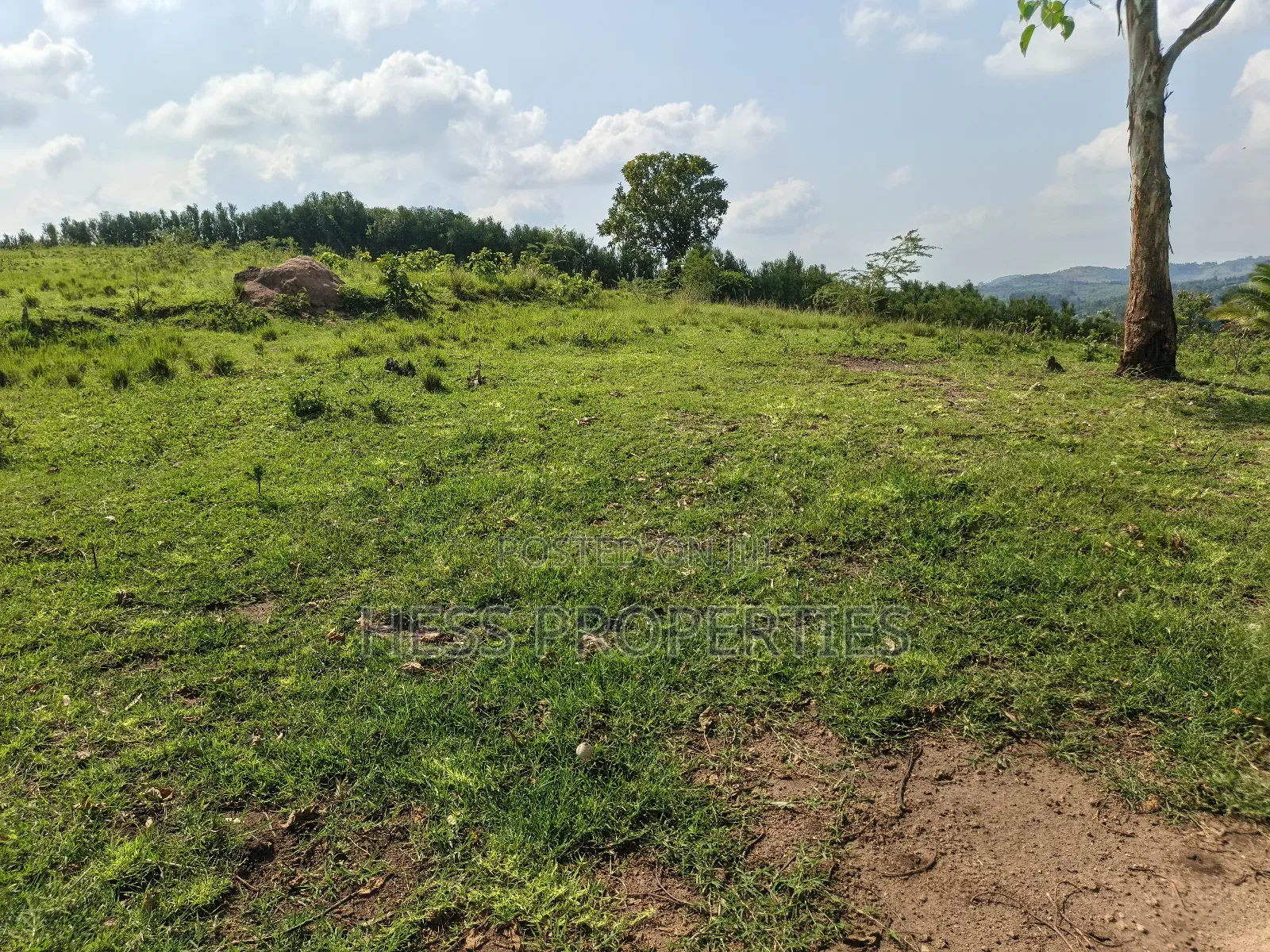 Farmland on Sale Located in Kyaka in Kyenjojo