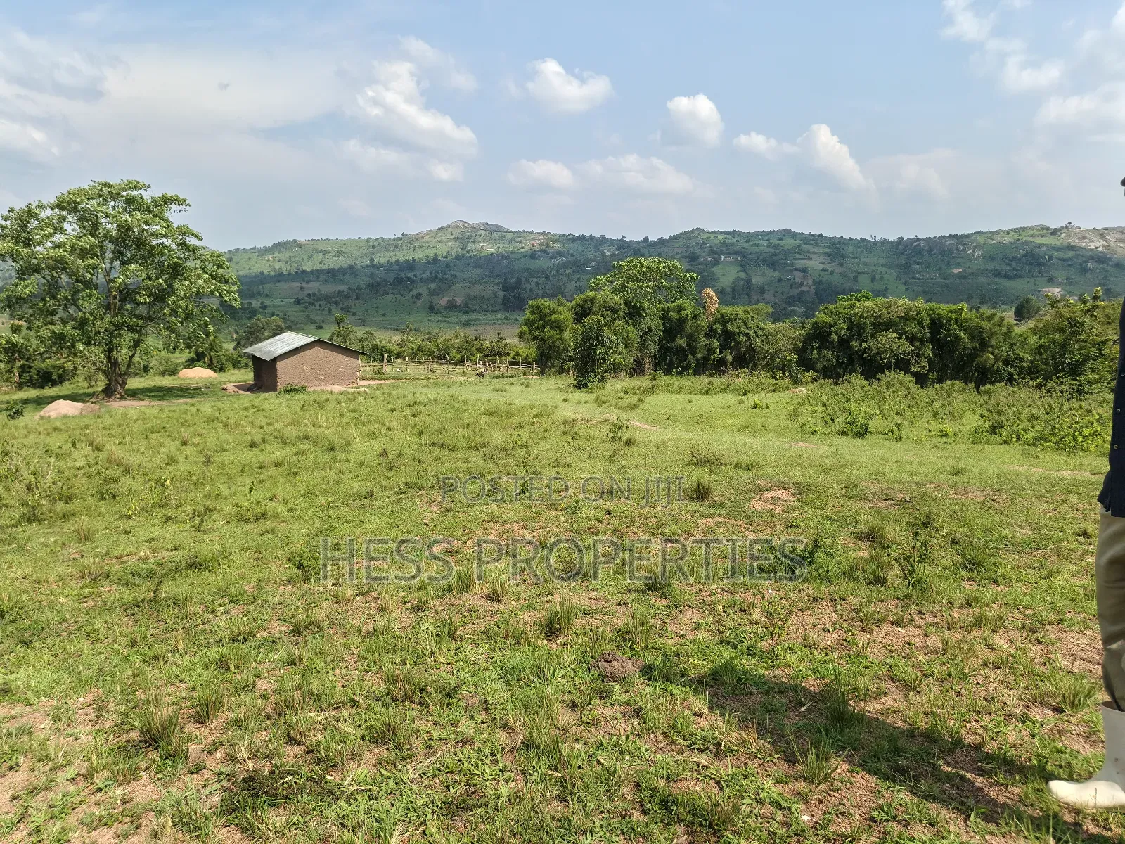 Farmland on Sale Located in Kyaka in Kyenjojo