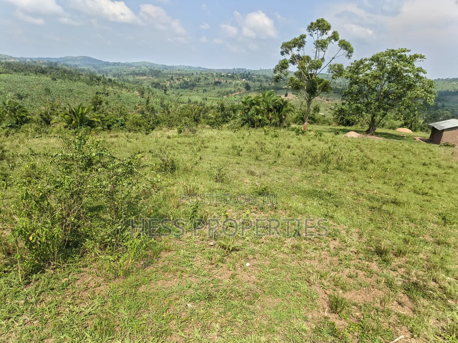 Farmland on Sale Located in Kyaka in Kyenjojo