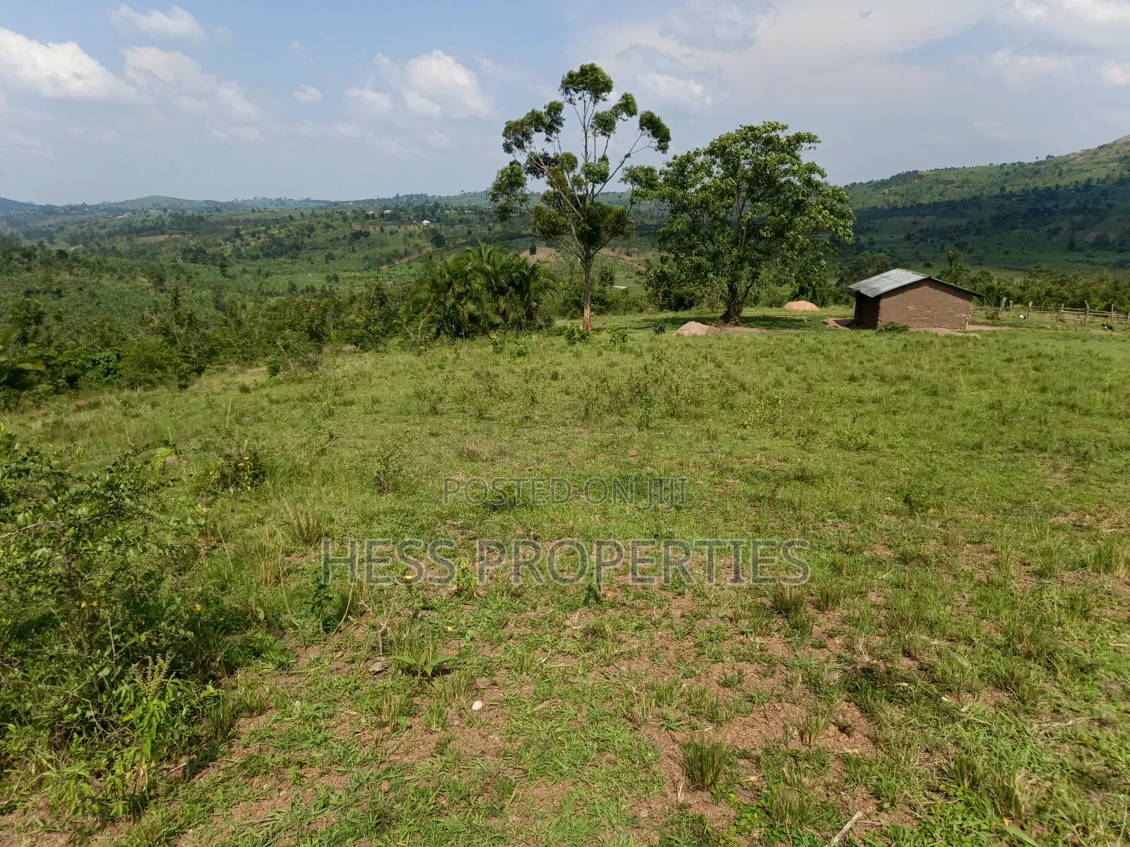 Farmland on Sale Located in Kyaka in Kyenjojo