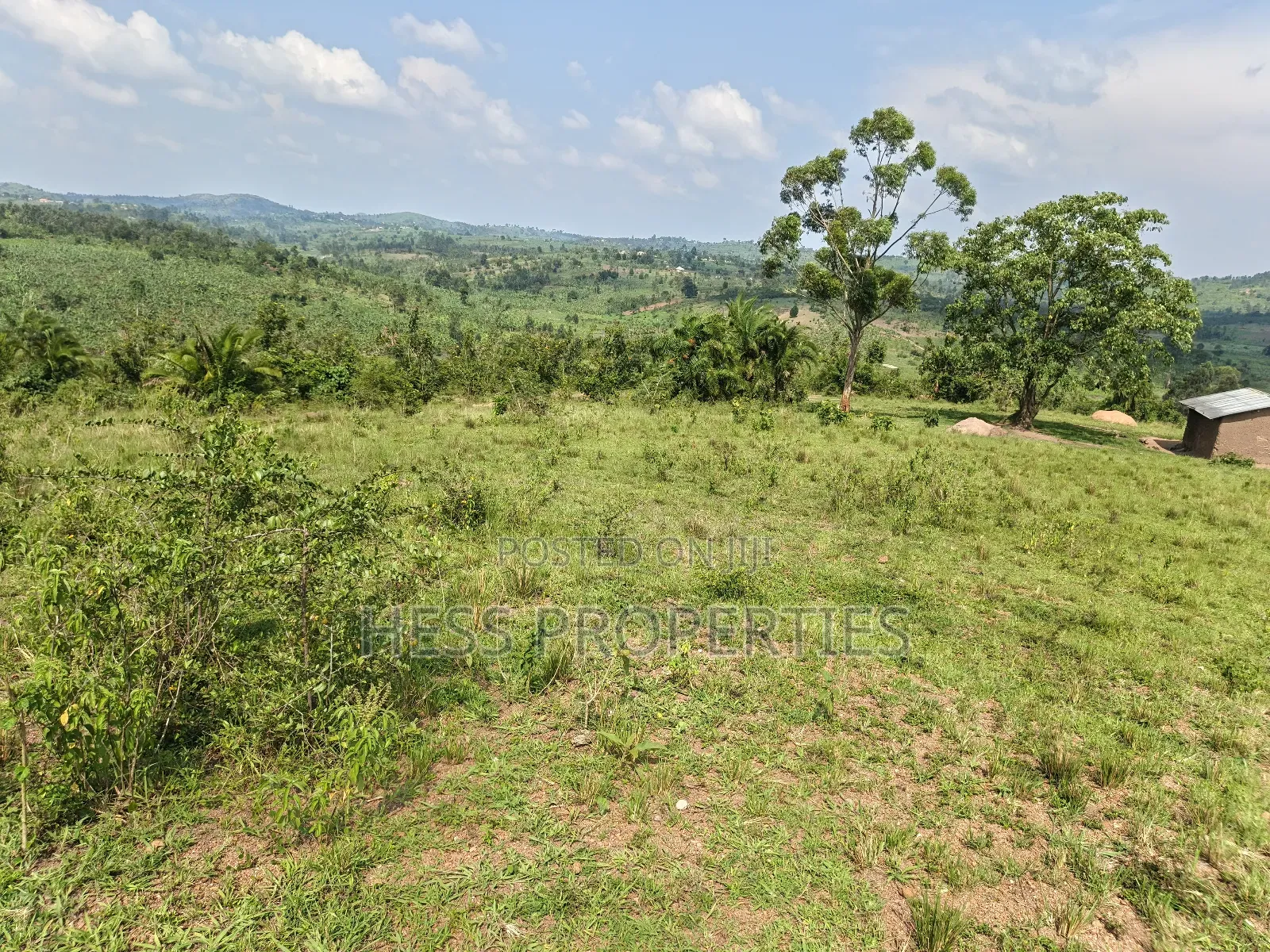 Farmland on Sale Located in Kyaka in Kyenjojo