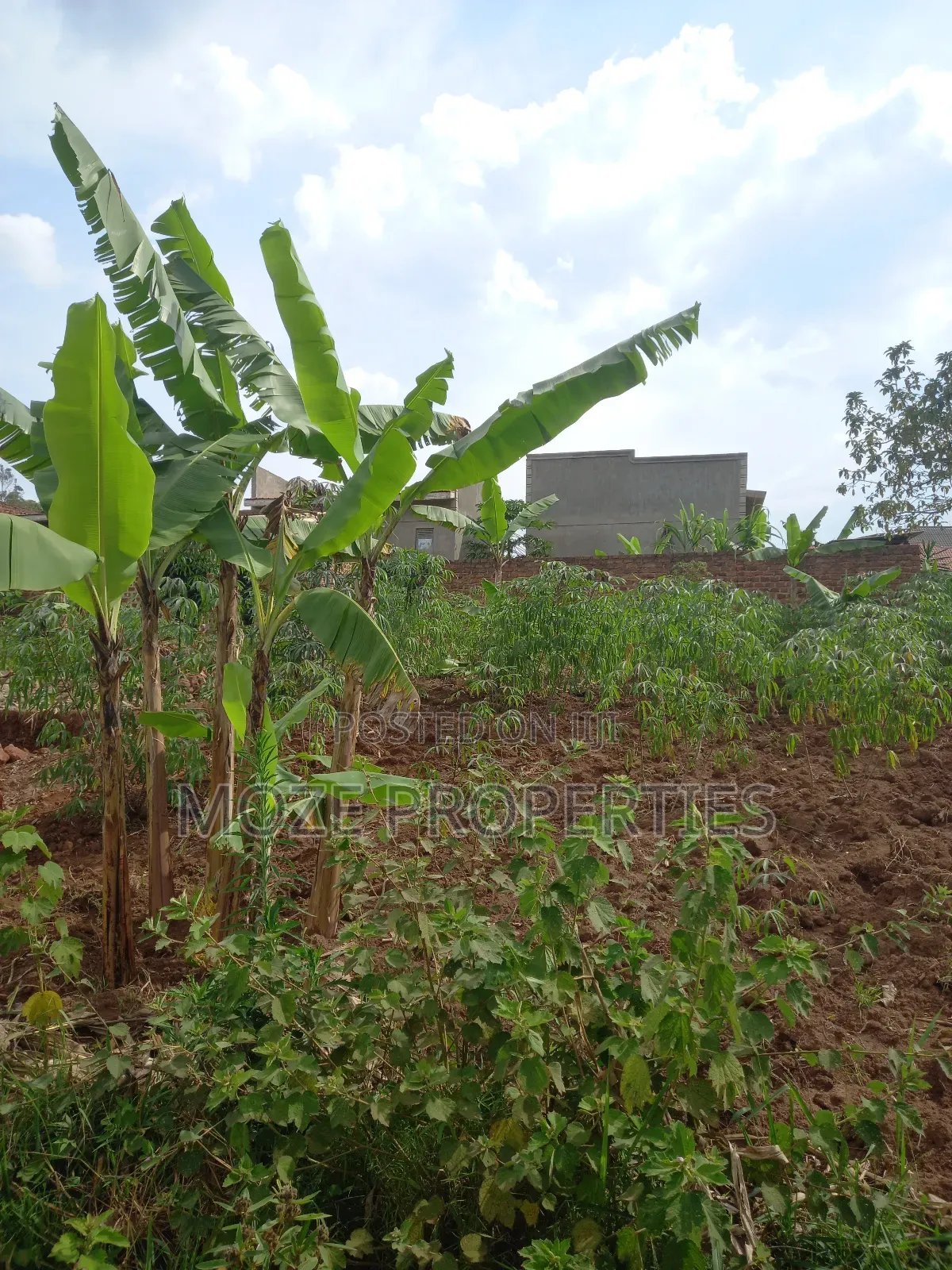 Sonde Kiwango 50x100 New Plots for Sale. in Central Division