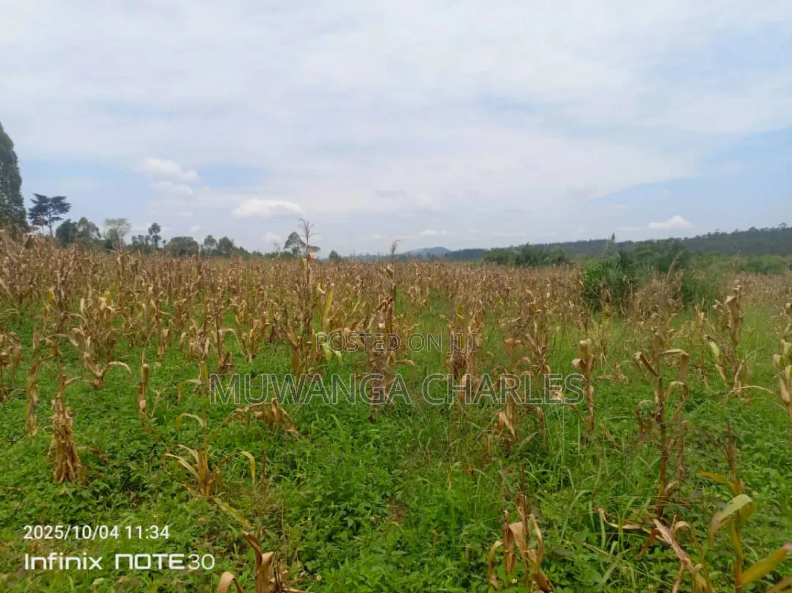 Land on Sale in Zirobwe Tongo in Zirobwe