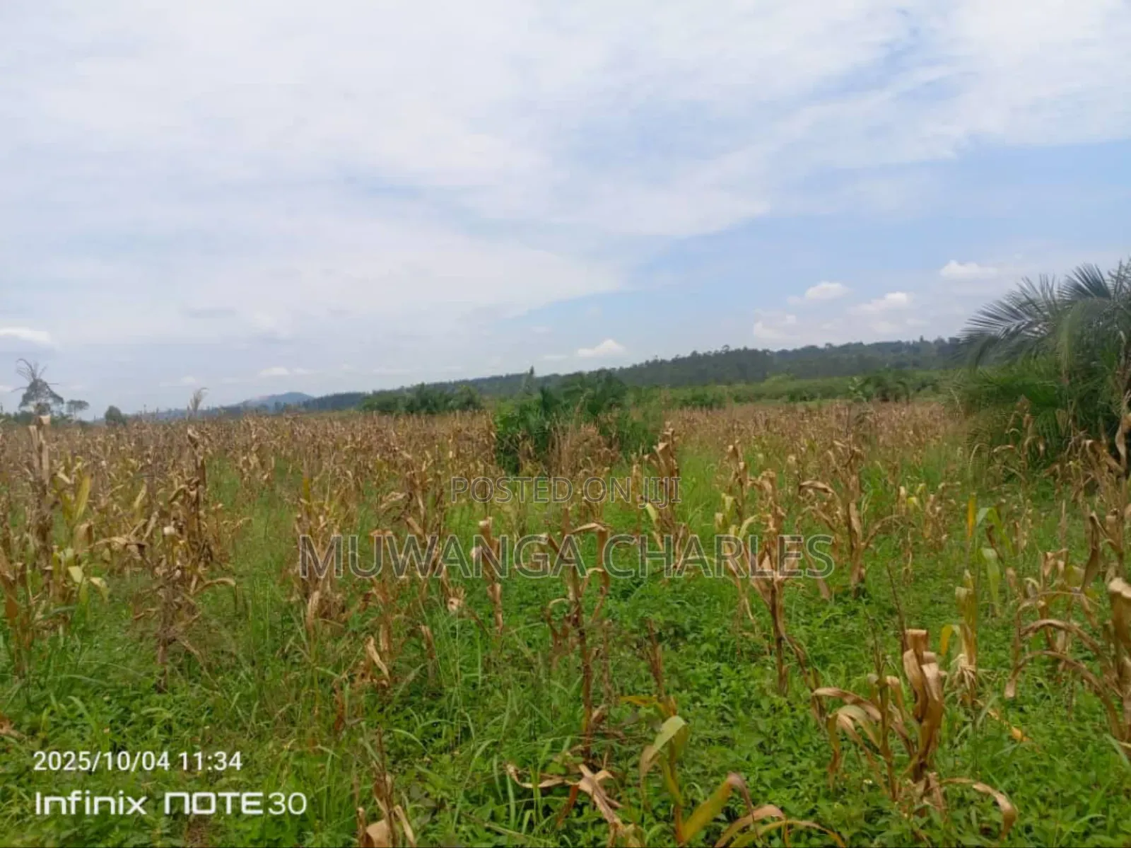 Land on Sale in Zirobwe Tongo in Zirobwe