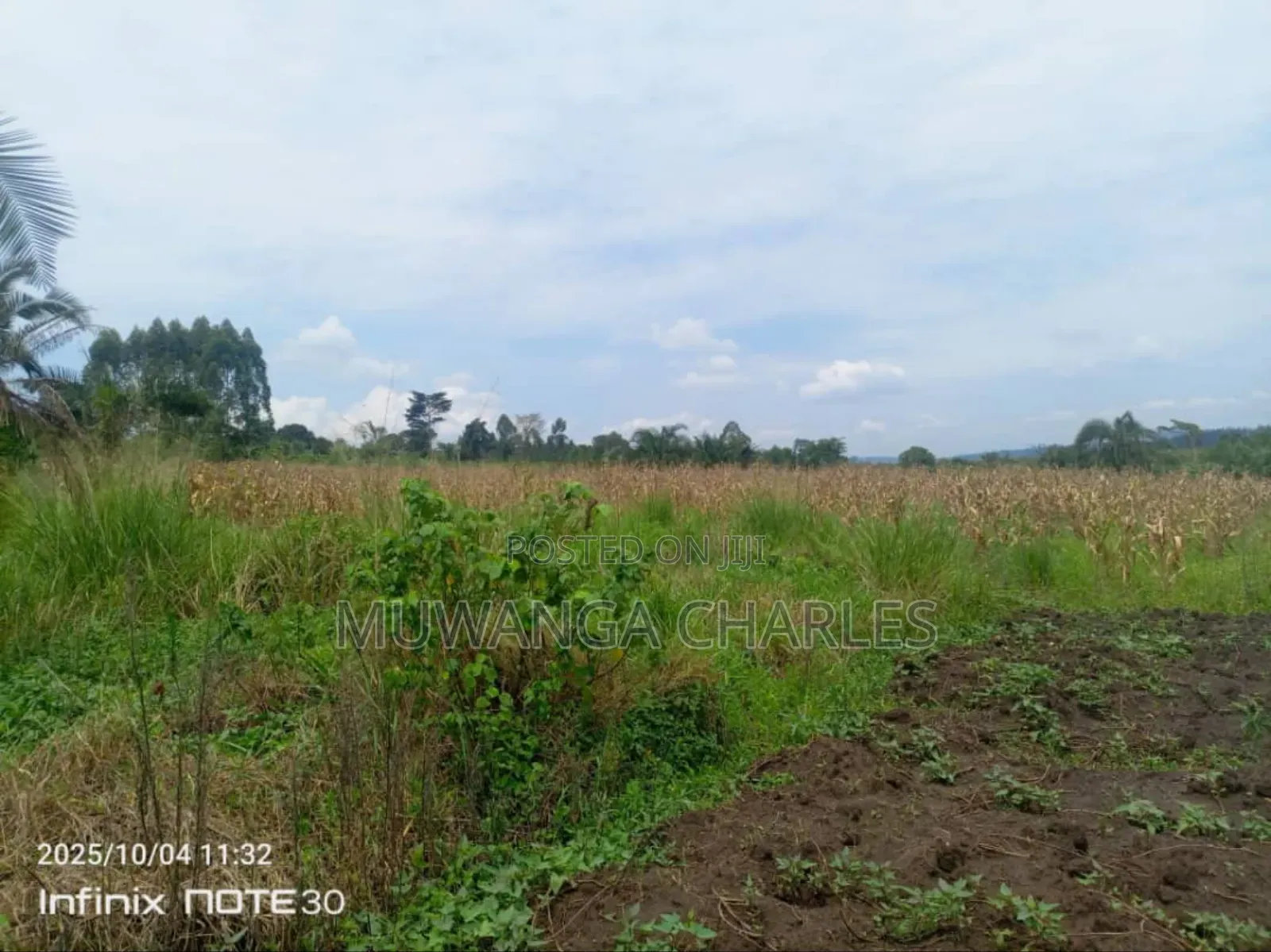 Land on Sale in Zirobwe Tongo in Zirobwe