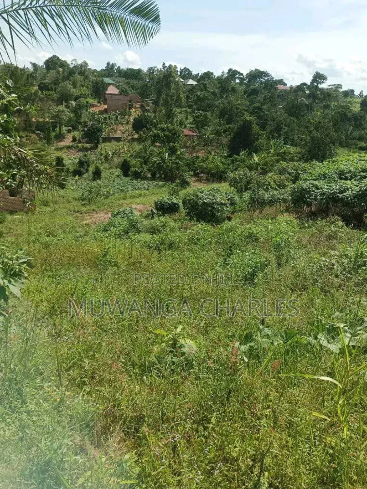 Plot on Sale in Kiwenda Phase 2 in Division A