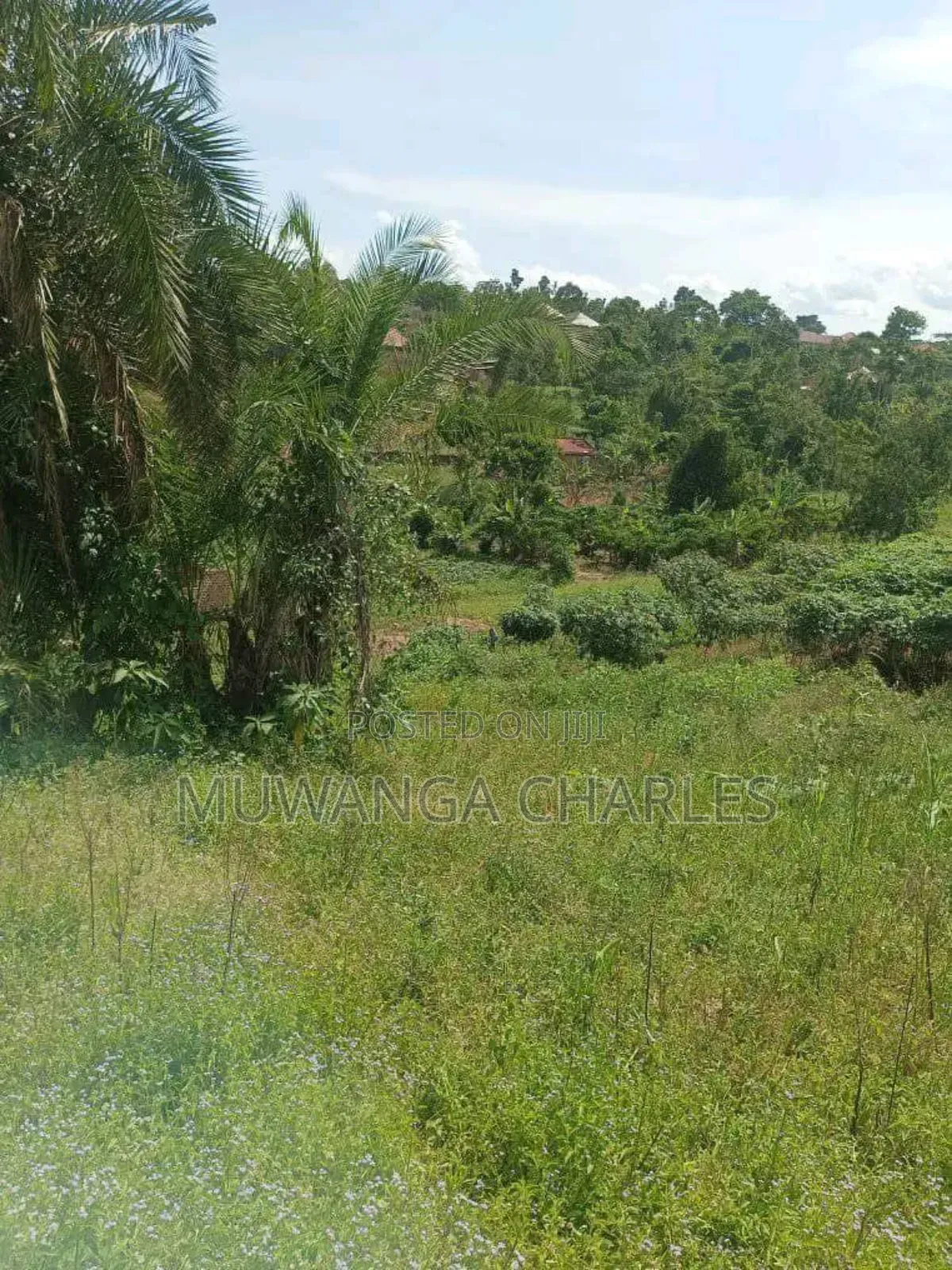 Plot on Sale in Kiwenda Phase 2 in Division A