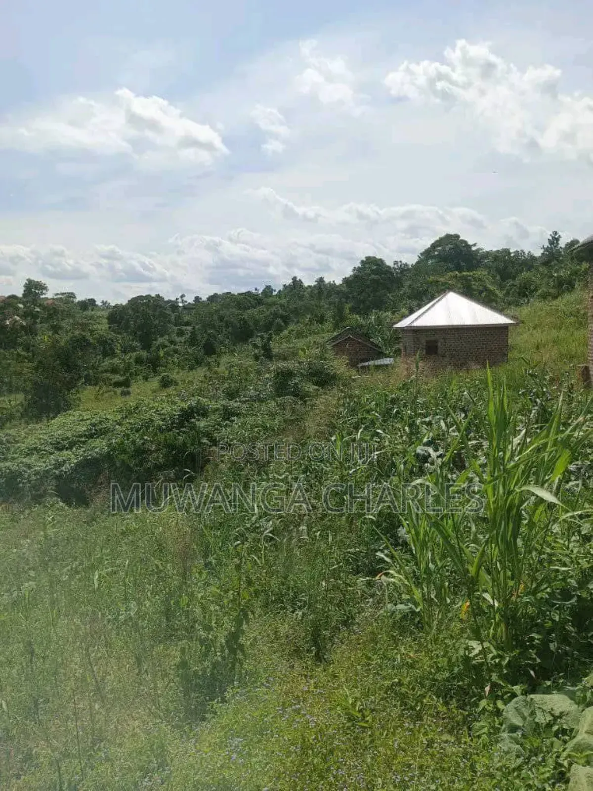 Plot on Sale in Kiwenda Phase 2 in Division A