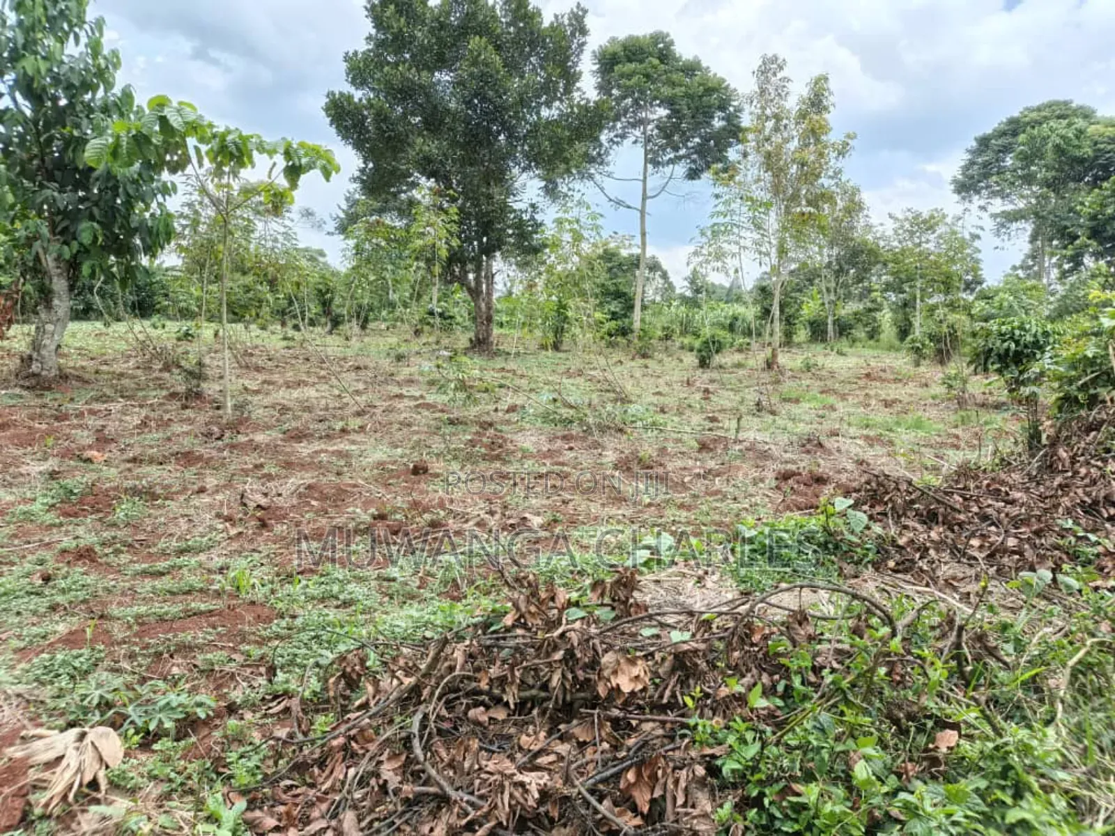 Land on Sale in Gayaza Road Janda in Luwero / Luwero
