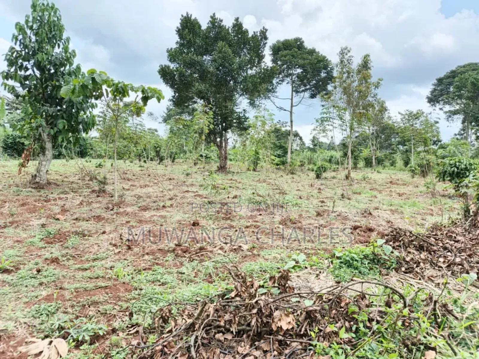 Land on Sale in Gayaza Road Janda in Luwero / Luwero