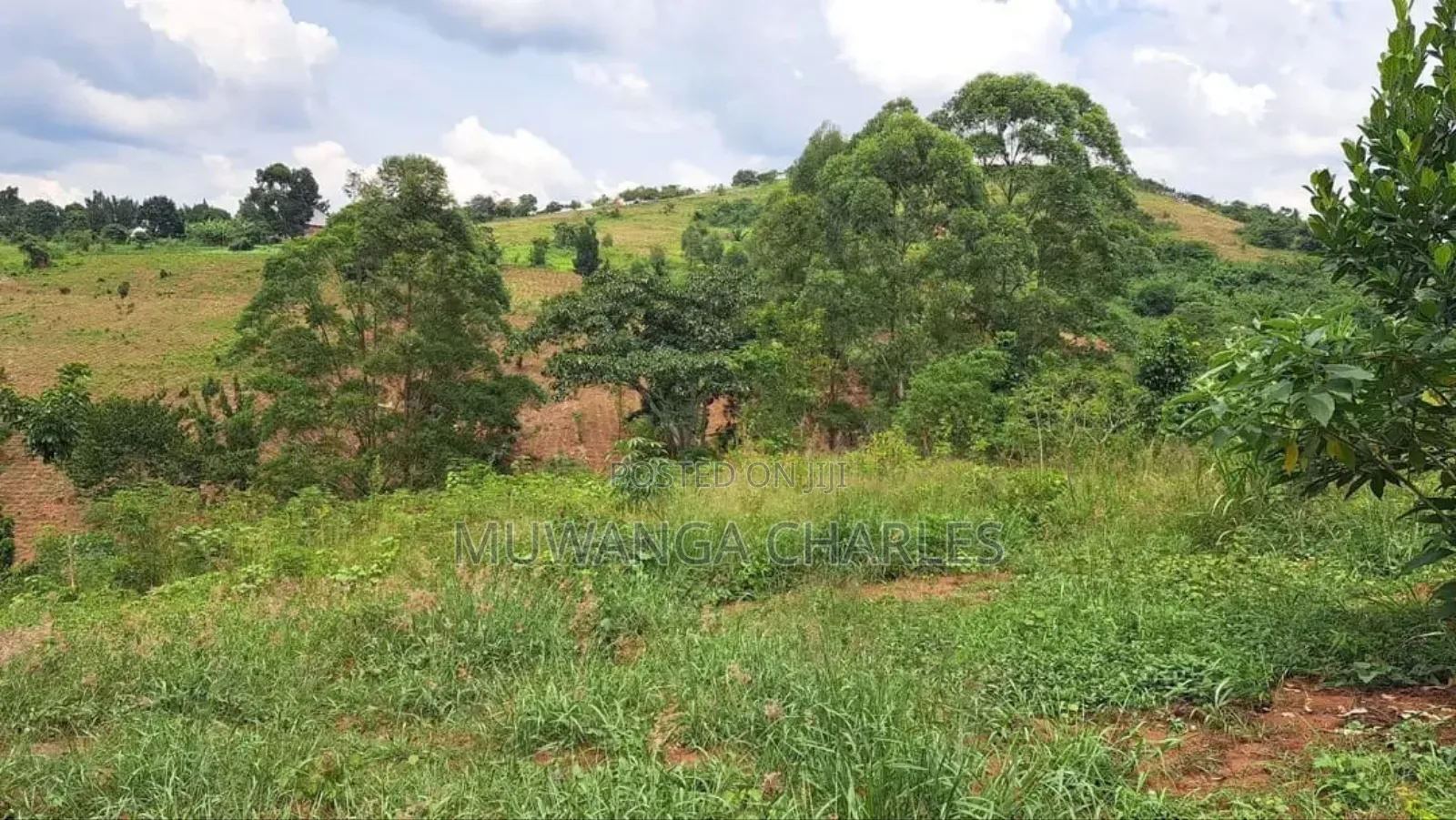Land for Sale in Kalule Bombo Road in Luwero / Luwero