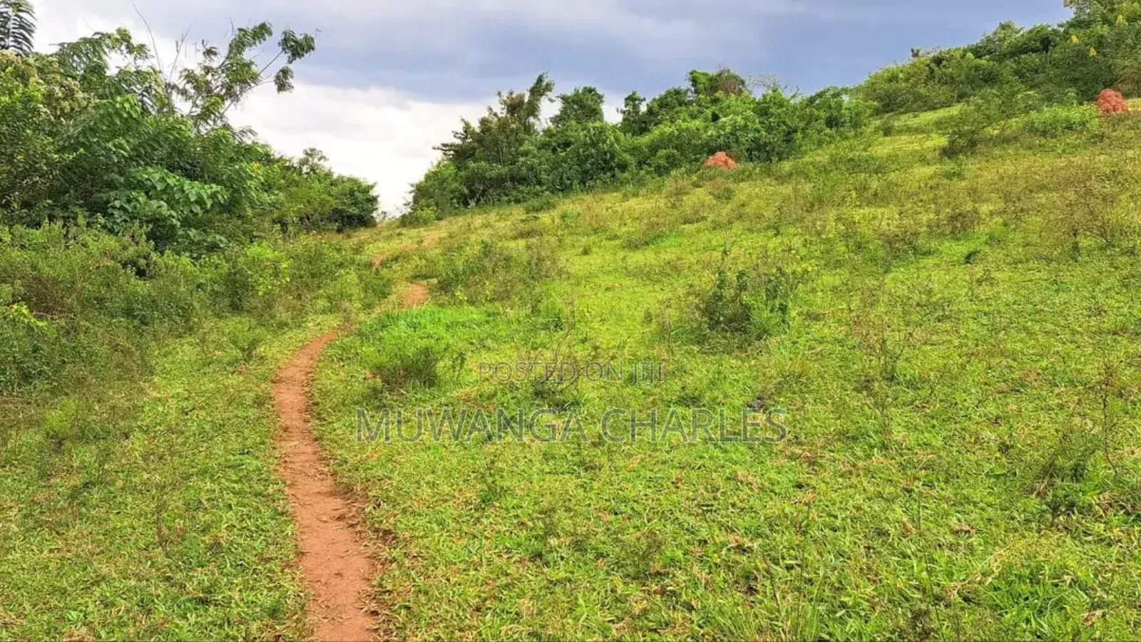 Land for Sale in Kalule Bombo Road in Luwero / Luwero