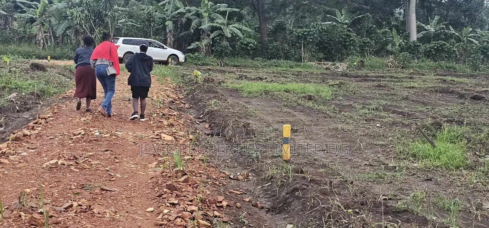 Prices of These Plots of Land at Namayumba -Will Suprise You in Kakiri