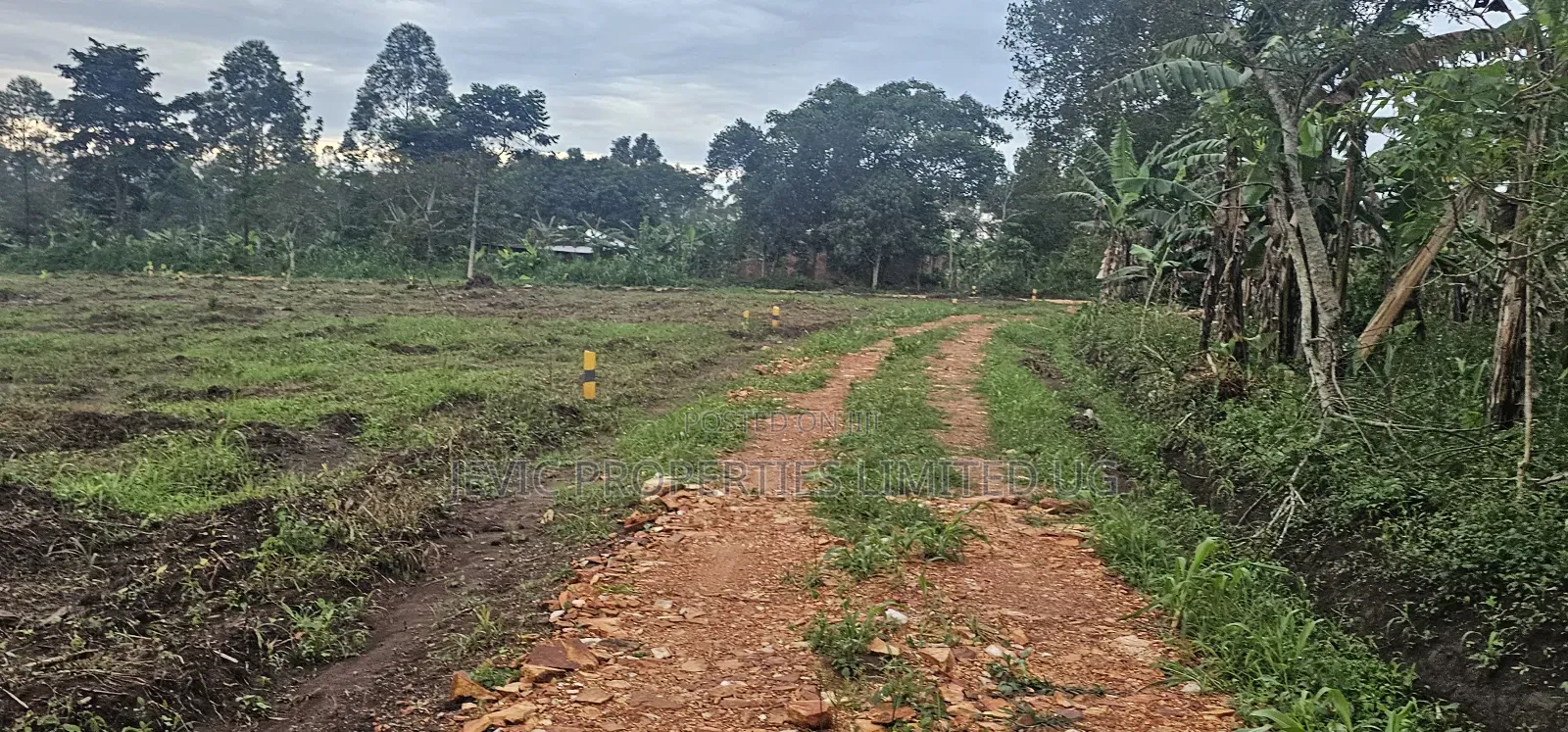 Prices of These Plots of Land at Namayumba -Will Suprise You in Kakiri