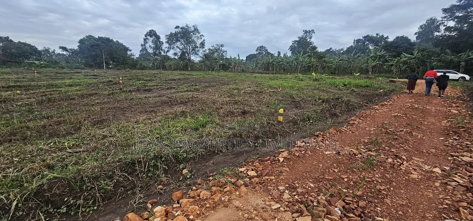 Price Drops on These Plots at Namayumba by 40 % Get the Offer Now . in Kakiri