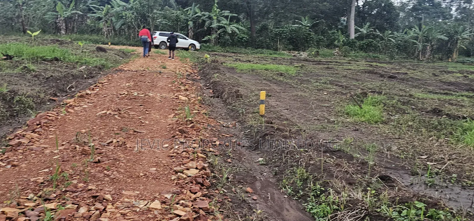 Price Drops on These Plots at Namayumba by 40 % Get the Offer Now . in Kakiri