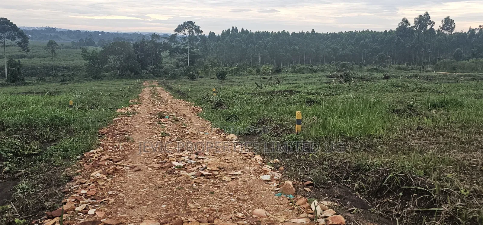 Price Drops on These Plots at Namayumba by 40 % Get the Offer Now . in Kakiri