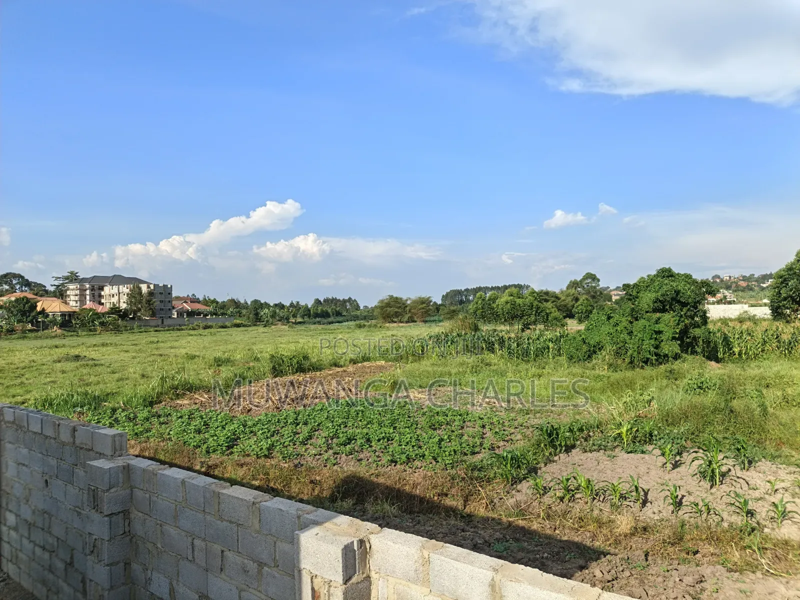 25decimals Plot on Land on Quick Sale in Kungu in Central Division