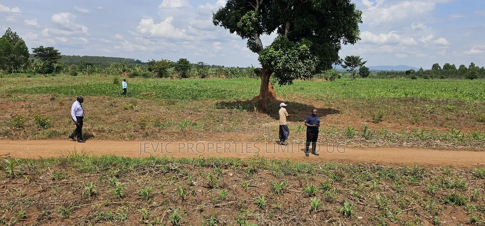You Need Acres ,Get These 45 Acres at Kikyusa Wobulenzi in Kakiri
