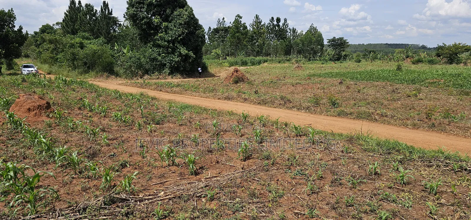 You Need Acres ,Get These 45 Acres at Kikyusa Wobulenzi in Kakiri