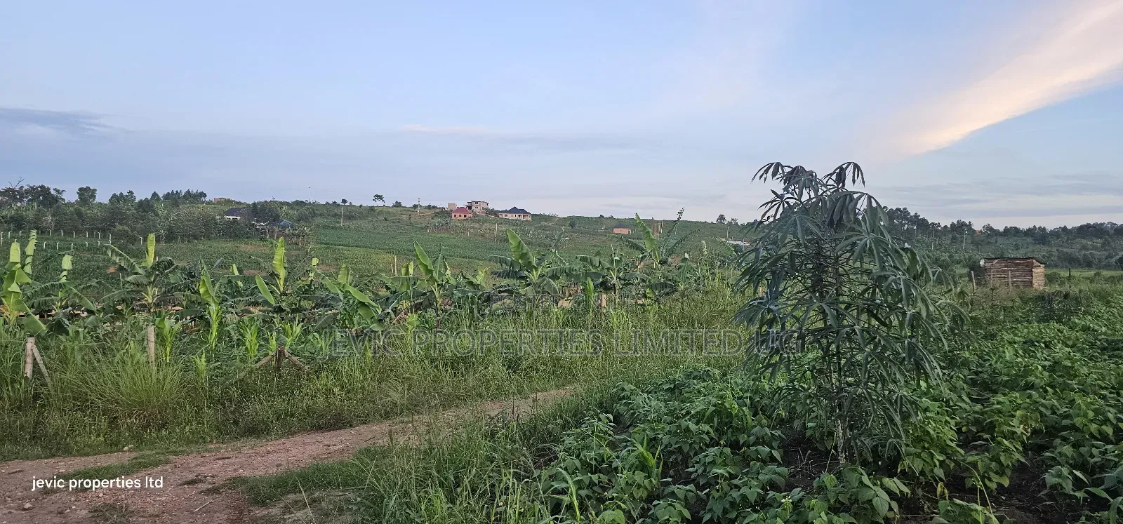 Hot Plots on Sale at Kakiri- Gobero in Kakiri