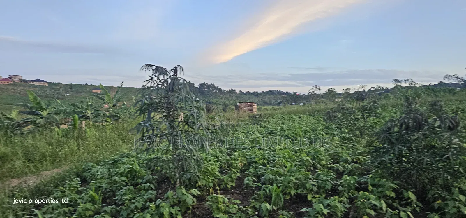 Hot Plots on Sale at Kakiri- Gobero in Kakiri