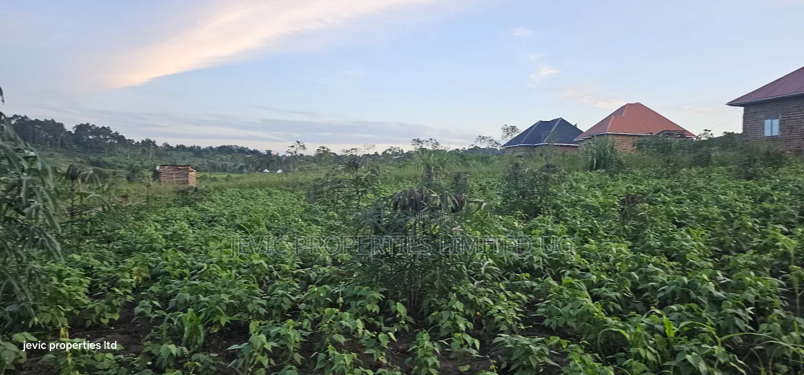 Hot Plots on Sale at Kakiri- Gobero in Kakiri