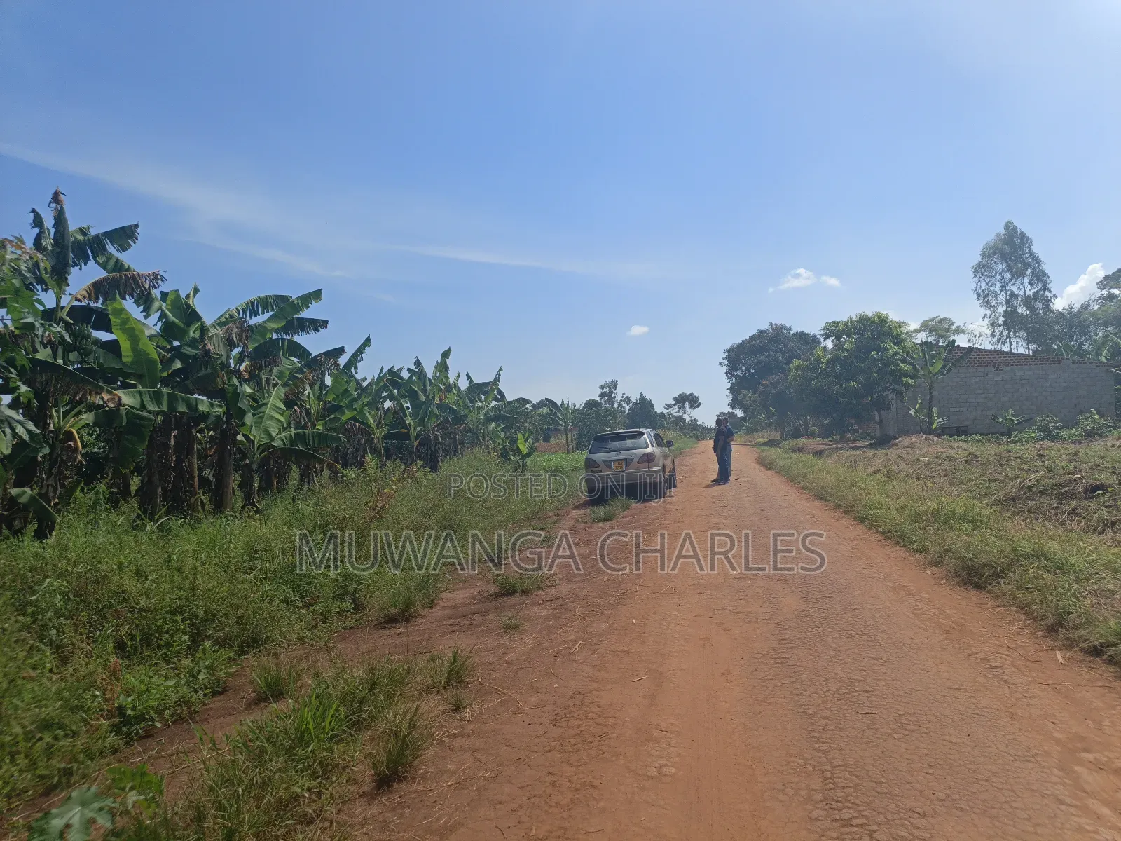 5acres of Land on Quick Sale in Janda Zirobwe Road in Luwero / Luwero