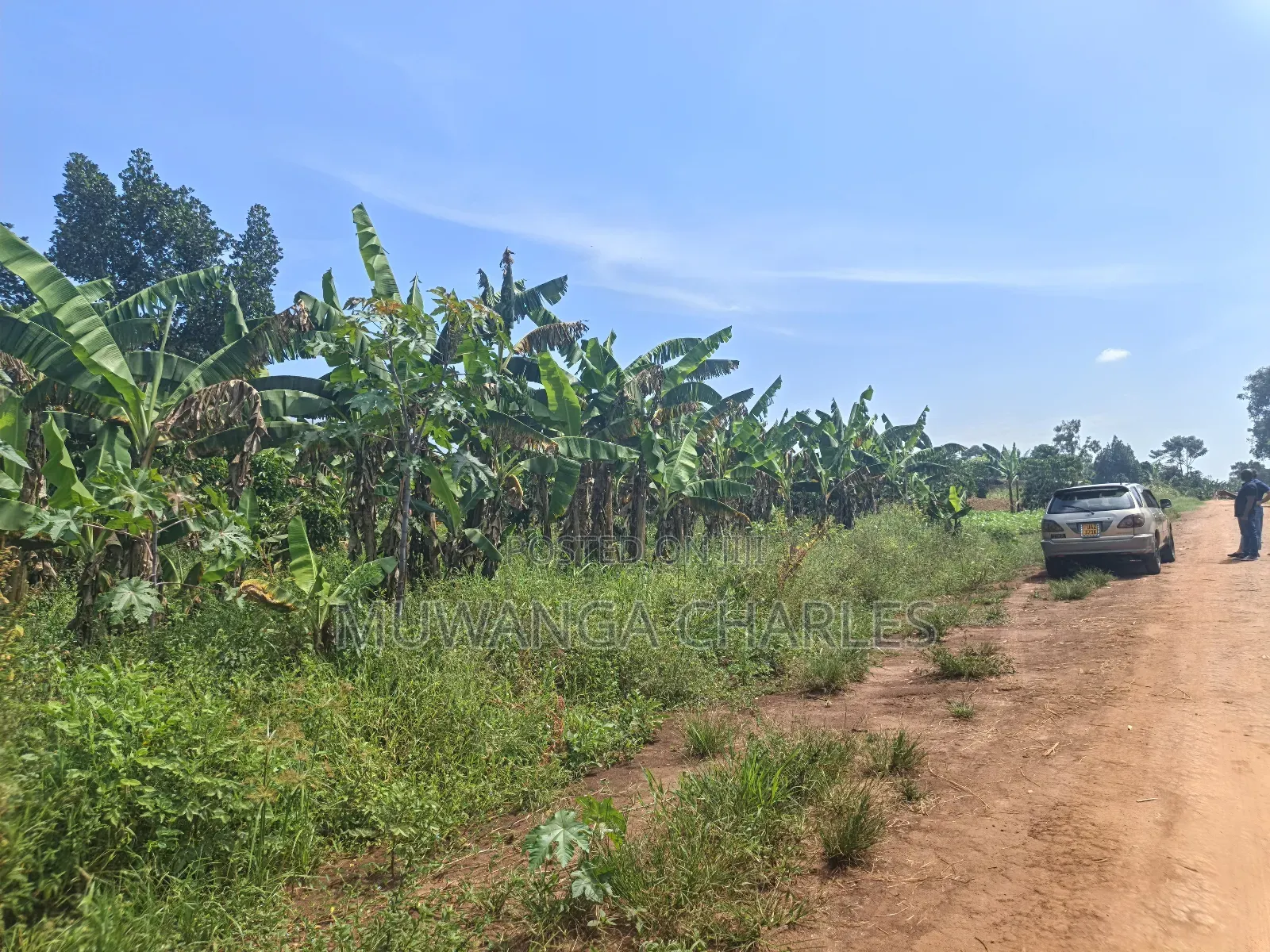 5acres of Land on Quick Sale in Janda Zirobwe Road in Luwero / Luwero