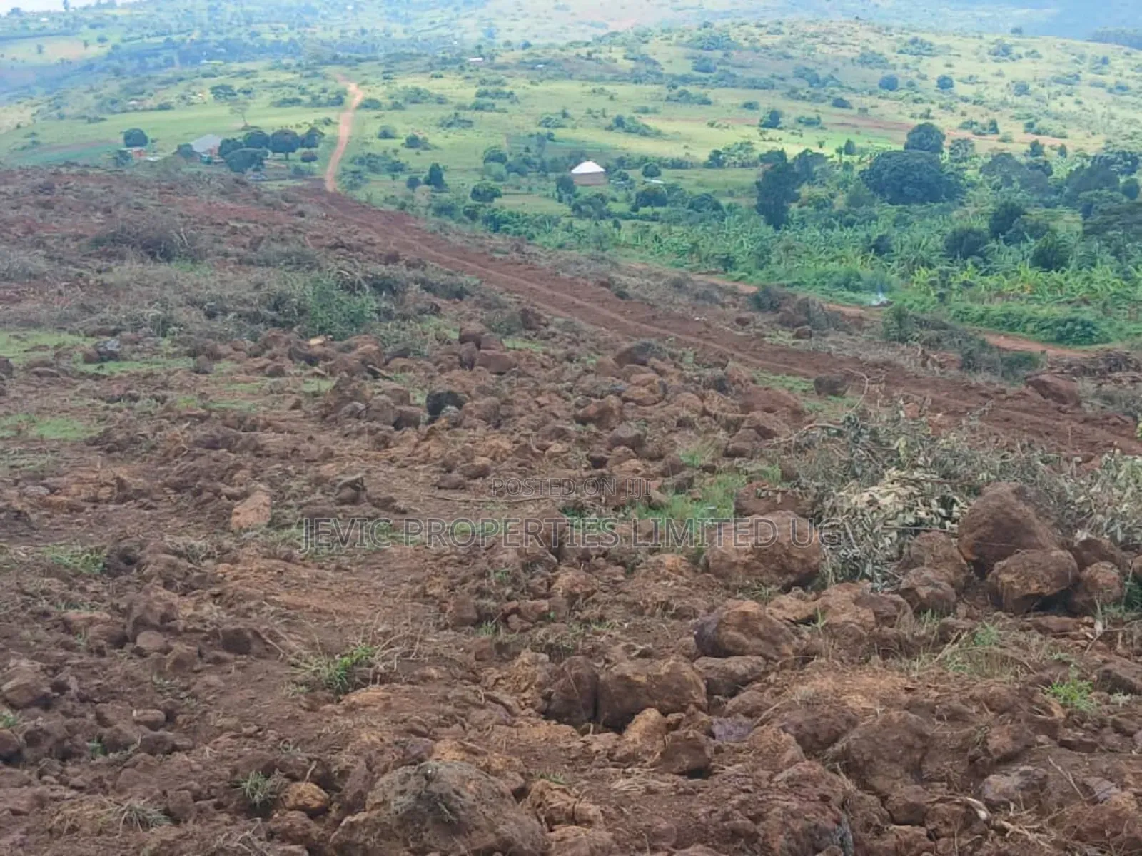 Hot Deal ,50 Plots 50x100 Ready Title -Kiboga in Kakiri