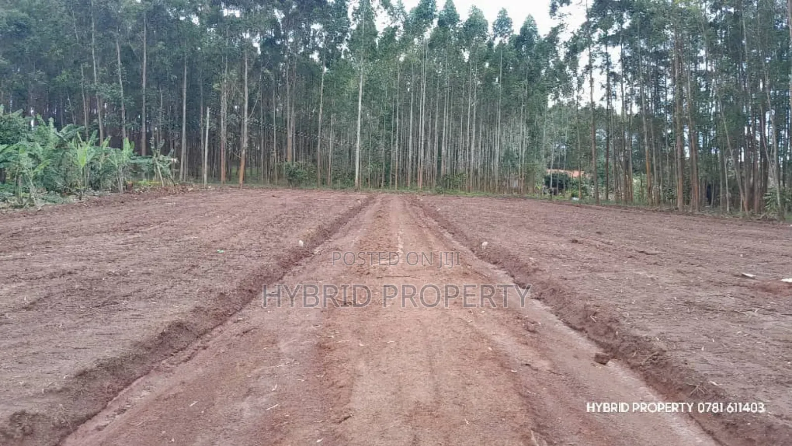 Prime Plots for Sale at Mpigi~Kubikondo Estate~Masaka Road. in Mpigi TC